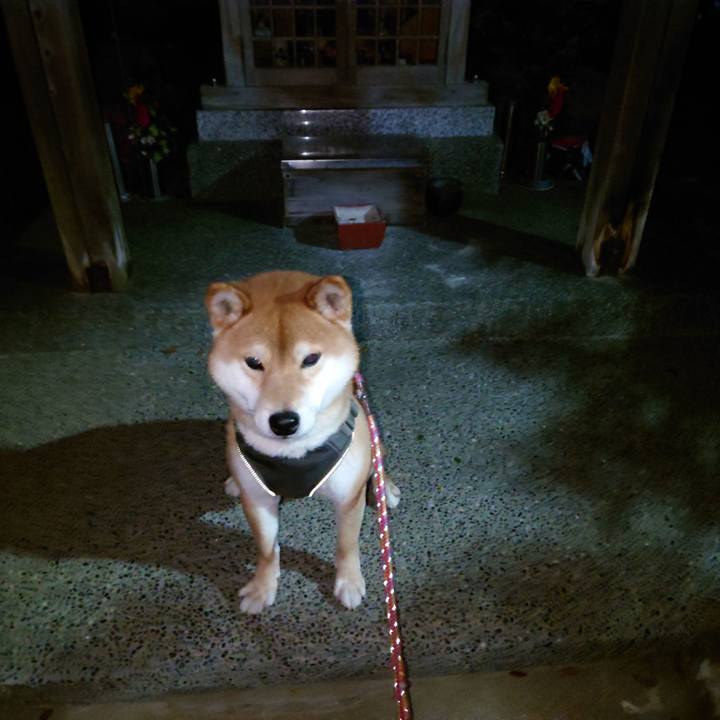 C4424390 471e 43de 8ffa dc7b3d4b7f5a 1769038920838