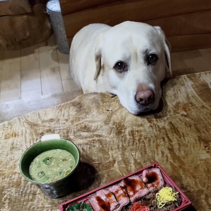 C4426fd0 e0fd 4e96 a32c 92b7ffecf498 1711087228161