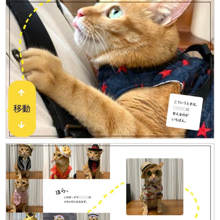 C4429c7e 9e79 4f7b b0e9 a617ce939560 1621338845076