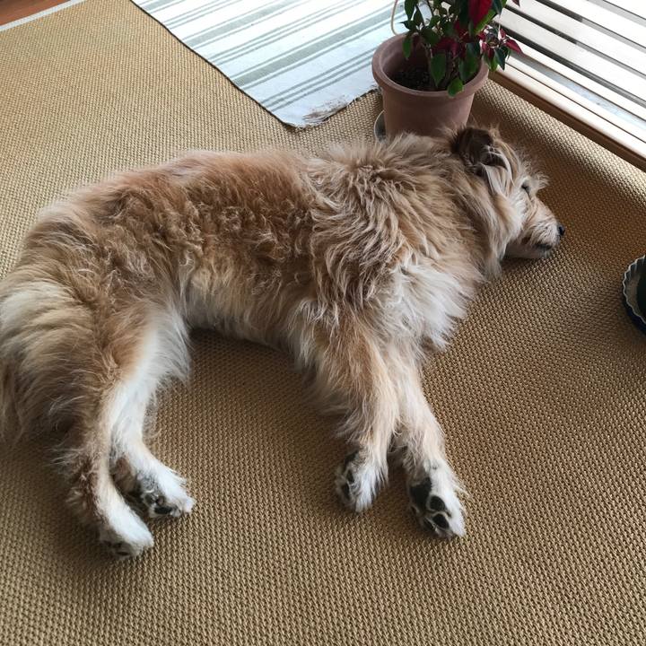 C442b3a9 f25e 49d9 993b cb6f6429ceac 1645706773440