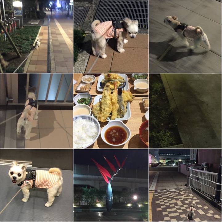 C443099d a532 4ac8 afec 687d4badee96 1567942565860