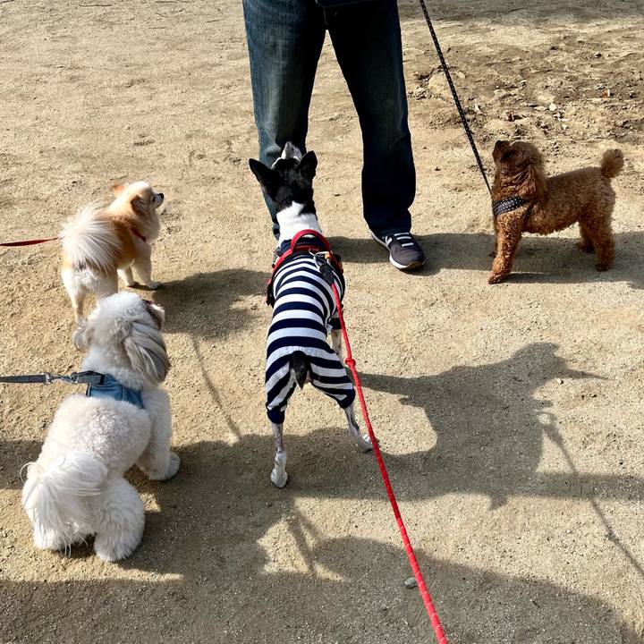 C44344d7 d0d7 4556 b7f1 a7e842c4131a 1650156658970