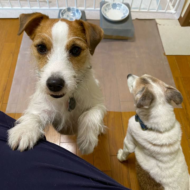 C4436066 7a66 4115 82da 0839a60df767 1698534816488