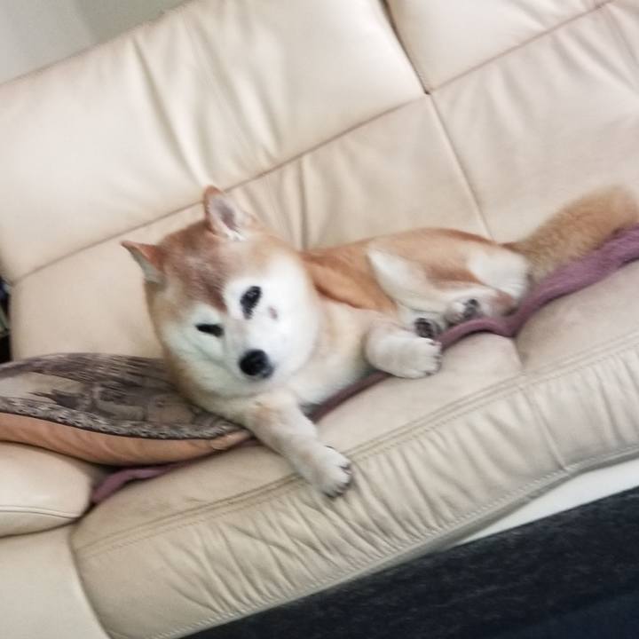 C44384db 8b36 4967 81e3 ab5798e0f14a 1747289686241