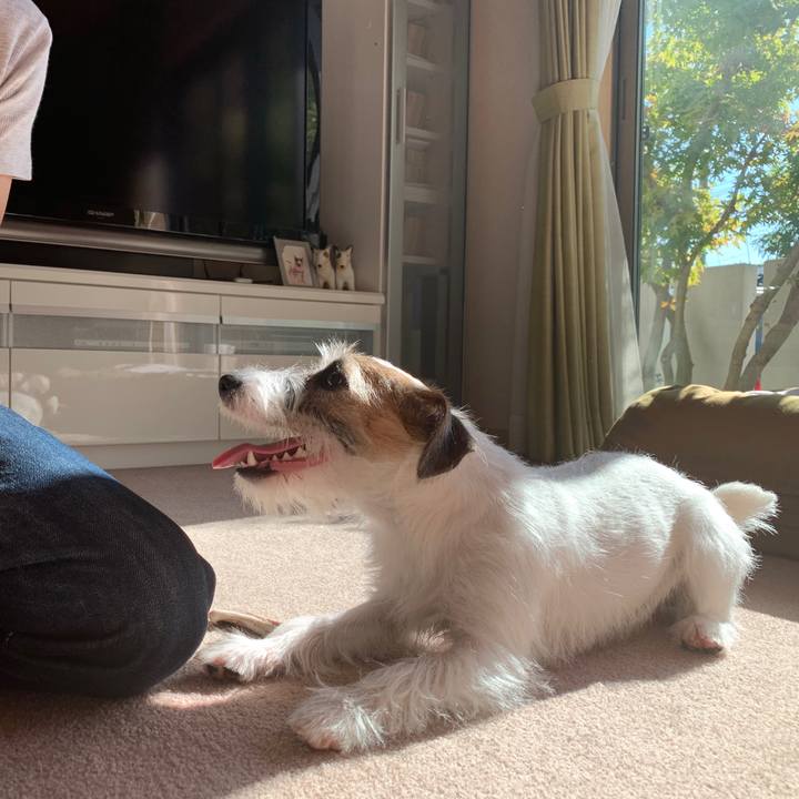 C4438cbd 9942 4b45 a08d a602635c7bd4 1573872936805