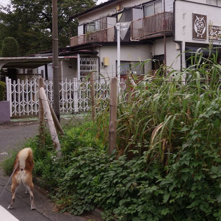 C443aea8 1a56 40dd 919c 926baa6fcfb3 1569030558736