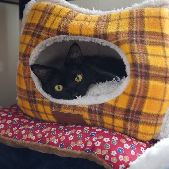 C443cddb 597a 4303 84aa e584bcdd7cdc 1611754175927