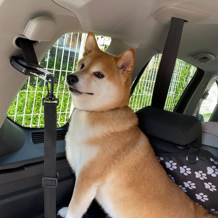 C443df4a 8676 4db6 8374 02260a84e36a 1595425325948