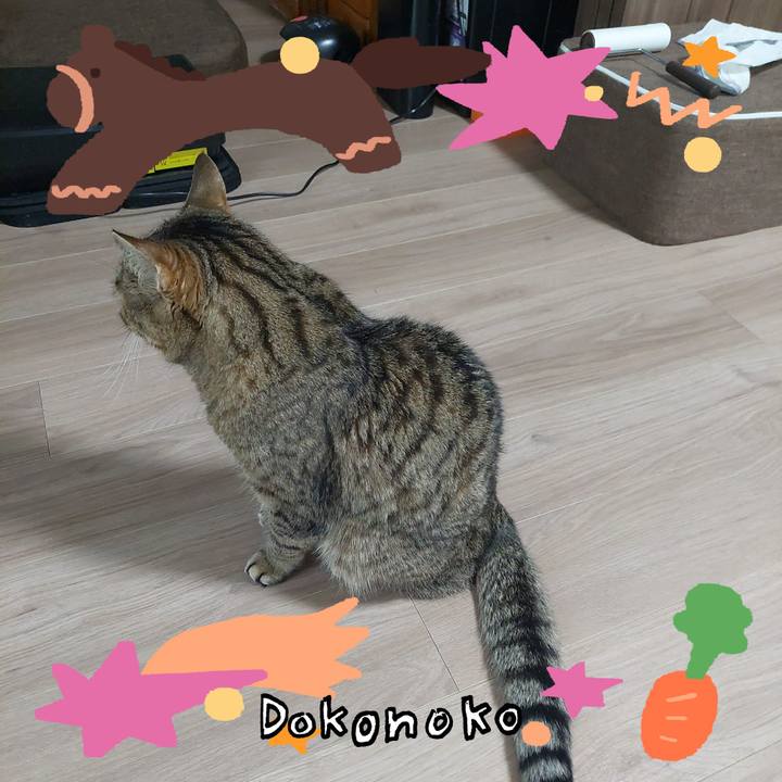 C443f4aa 19fa 4952 9487 cd438be9ff30 1772059761259