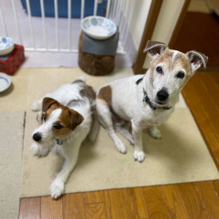 C44411cb 2988 4997 8339 9e419db0acc4 1659393617198