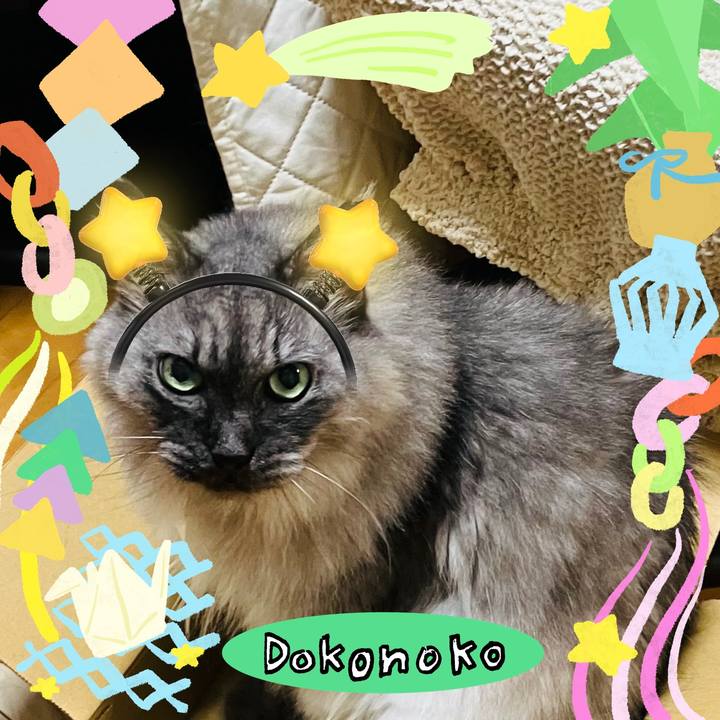 C44432dd f901 45d9 91a6 24bf6be51750 1755308235940