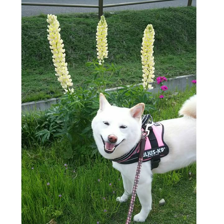 C444548c cc03 4142 aff6 12c0f76337e7 1526983095547