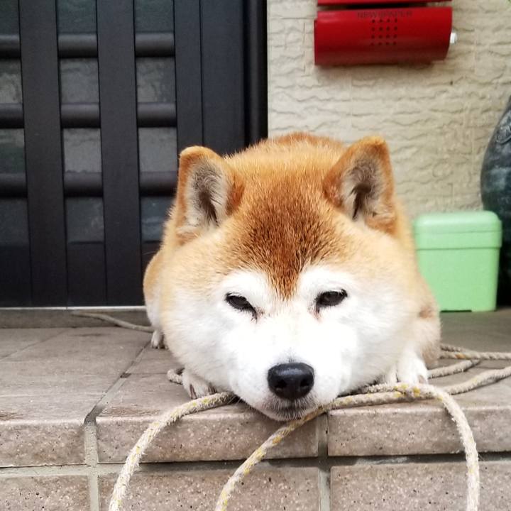 C4445862 7104 4566 be90 7e8502bbe124 1619946135700