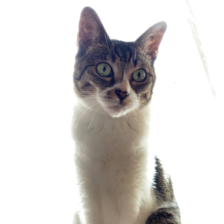 C44480aa eaf3 4ff5 97fc 41cfeae2bd42 1540429543474