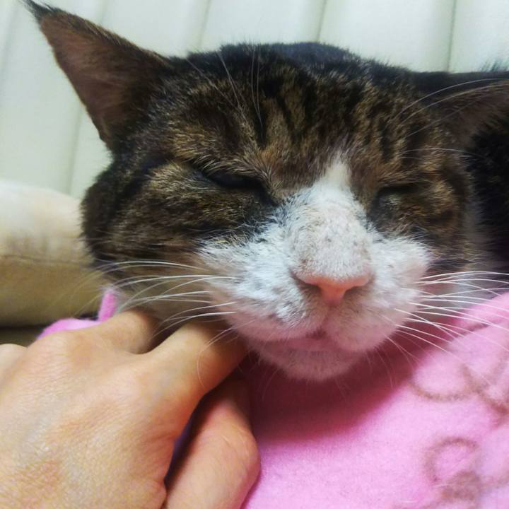 C4449f7d 1377 471d 85f5 bbb36ea25895 1548591777079