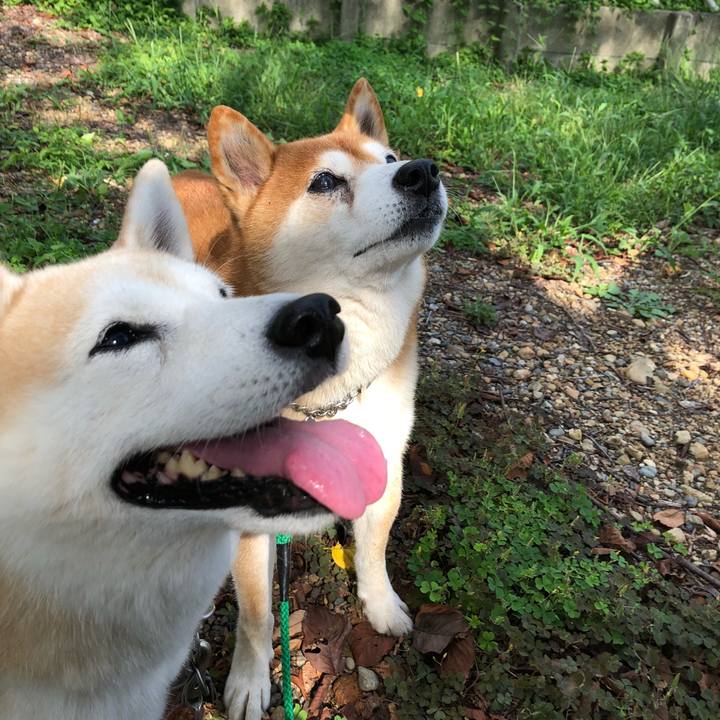 C444a2f2 5167 41c8 9008 dd63c22d69a7 1538181051187