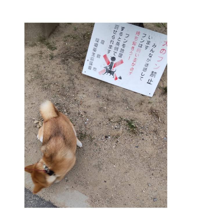 C444cc52 ab71 49f8 91dc f6c54cb56208 1763442232602