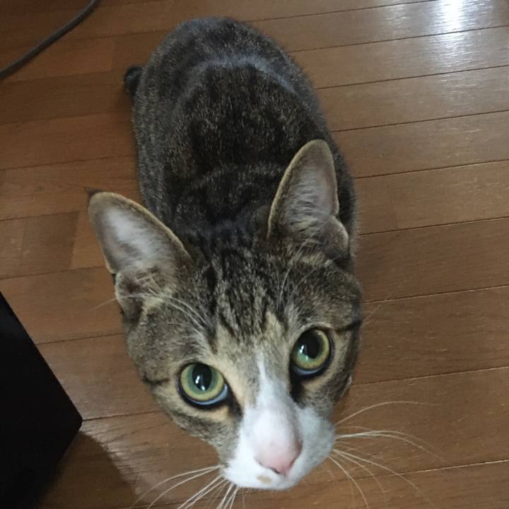 C445330e a60d 4e69 b57e fbbe0057c766 1675567355968