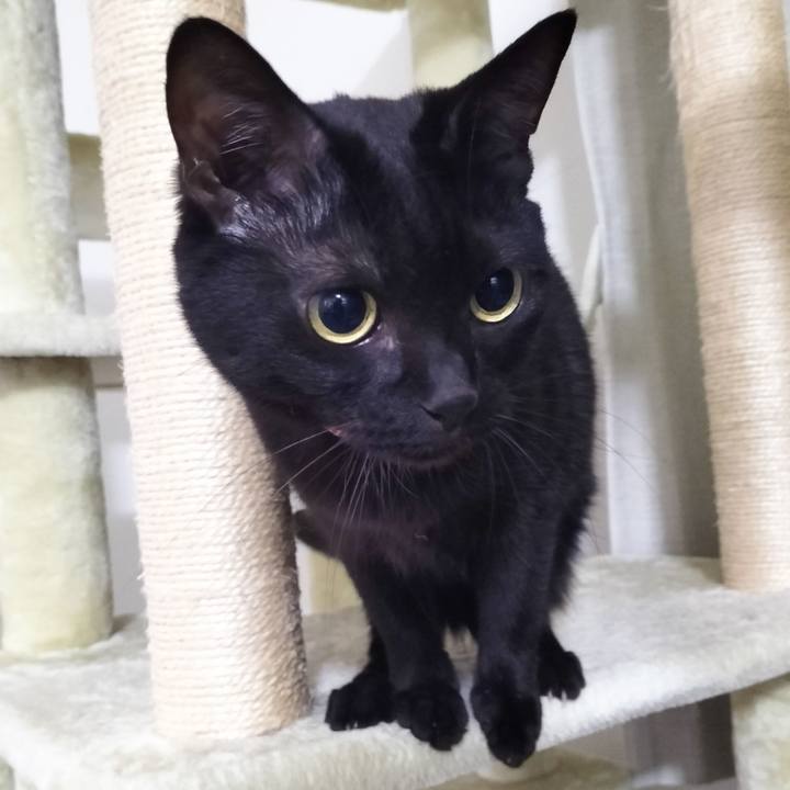 C44551e9 057b 4868 96dd b470dfc37113 1703333856017