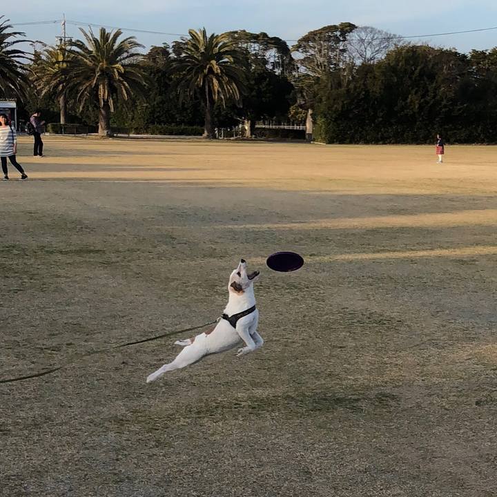 C445720c 6234 4c47 b19c ed687f9b8b4f 1520156515094