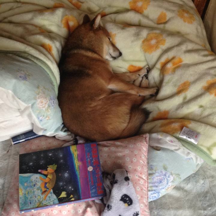 C4457c09 408f 49b9 9104 9a8c9810acf4 1513838961152