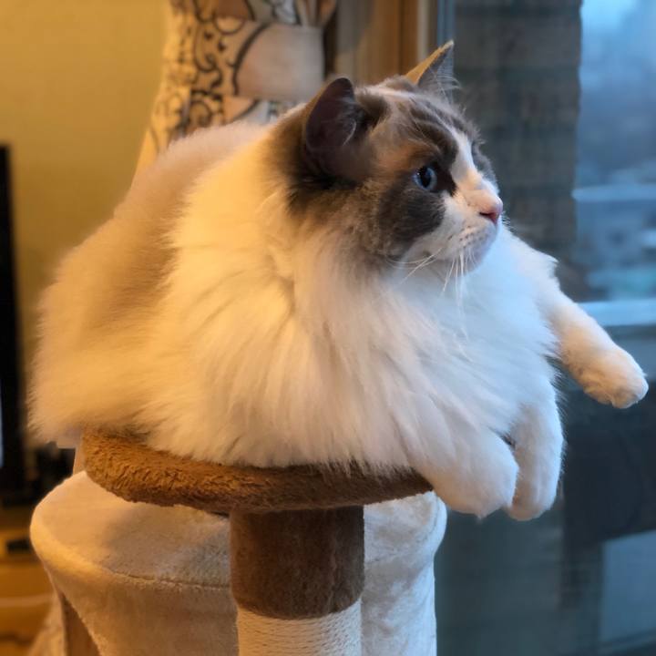 C445977b 26fd 4f81 b124 4807a3176309 1582078716146