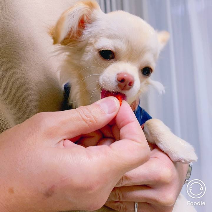 C445c769 cfde 4741 b0f0 958f590a8432 1609058158843