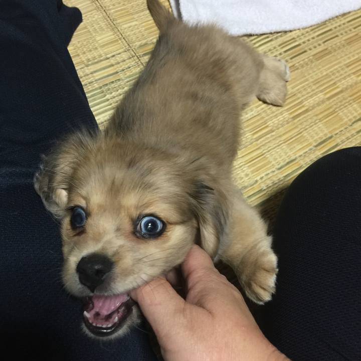 C445d40e cb98 48d1 b7af 03ec0344669c 1539990926773