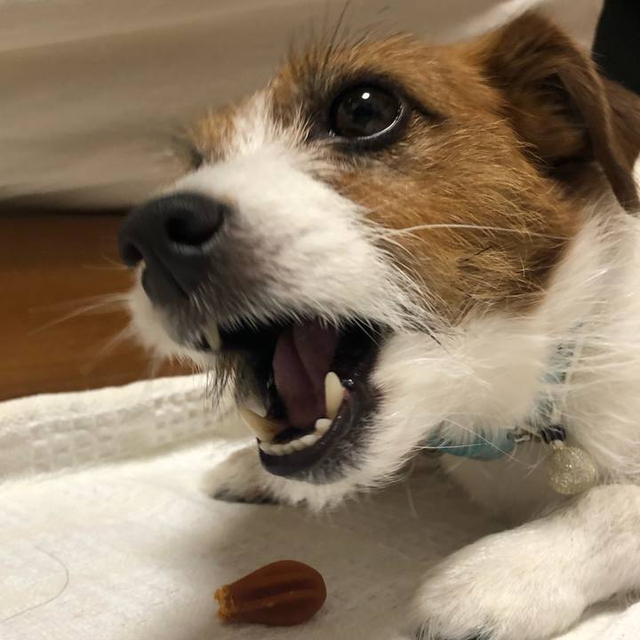 C445f758 357f 419d aa25 2528a520e47d 1553608000715