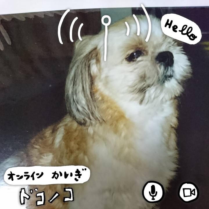 C44607e0 1a7a 4b42 9588 82dd2ee9c793 1593916071023