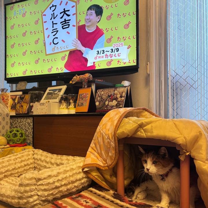 C4462524 9057 45d0 b2c5 1c31932db6eb 1741008425061