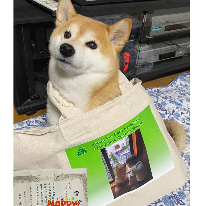 C44659e5 03ab 4a60 96cd 2e7cb79e0f96 1633010241042