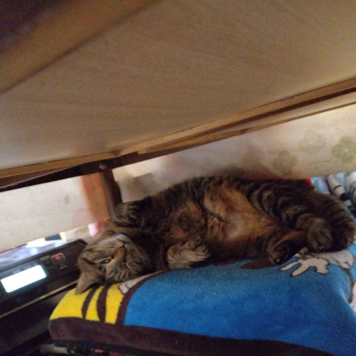 C4467c00 0826 4632 9b8c 1c86820b0c13 1682200175312