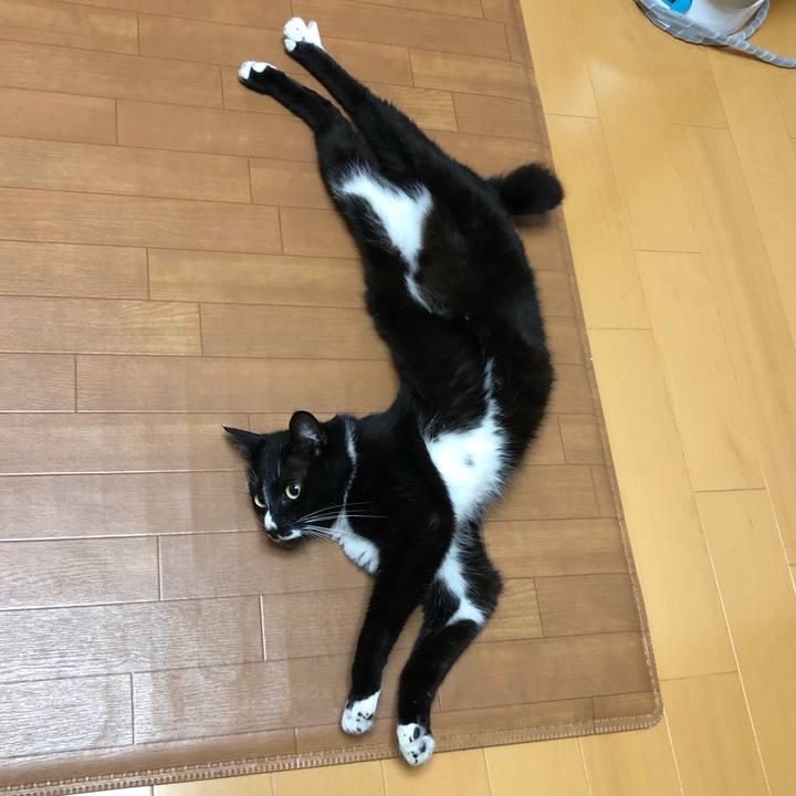 C4468986 8b9c 4480 9206 45d41dba6270 1562298193026