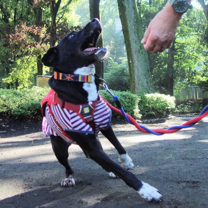 C44691a7 994f 4f74 b128 a8a8f6e06547 1596239490313