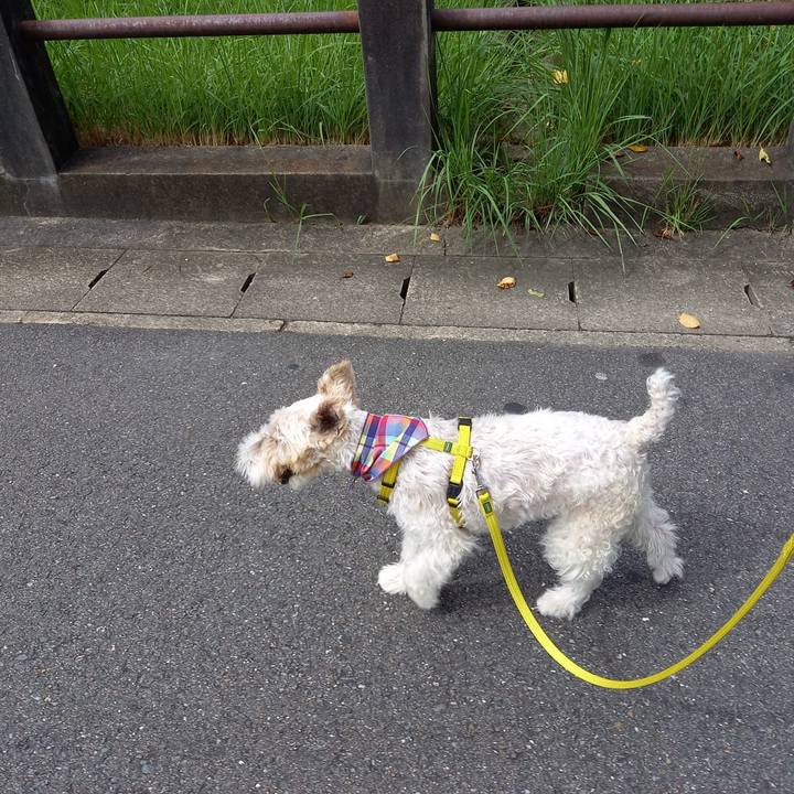 C446d40a 03be 4a7a ae7a 418a4abd9326 1630806270403