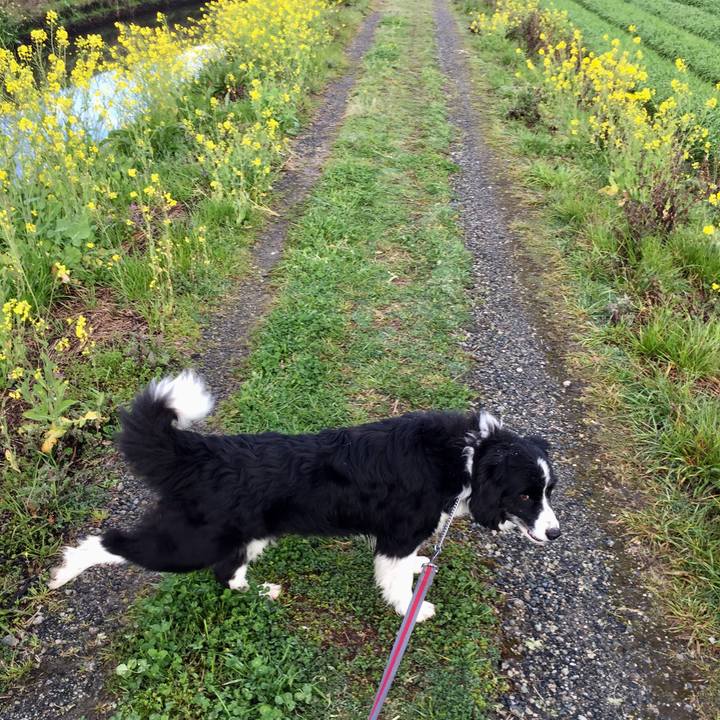 C4473bd6 f92d 4b6e 9666 9f5a7cd1e705 1583622912271