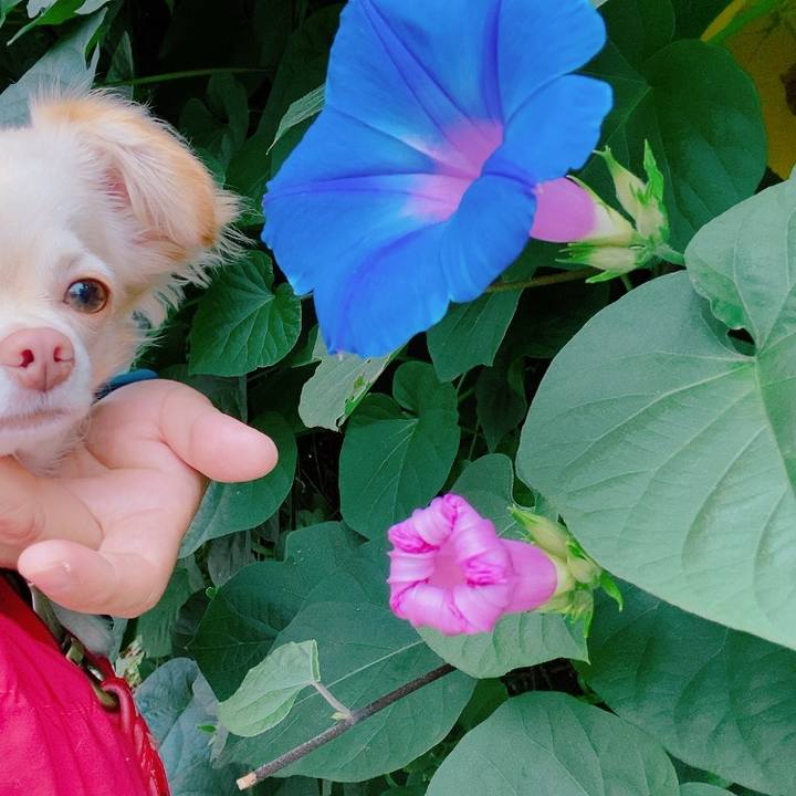 C447447e 234b 4899 a457 5897309fce7e 1634354003007