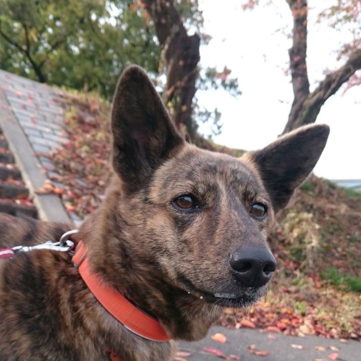 C4475e00 8955 4a65 b446 c077fe3fc53a 1511660386793