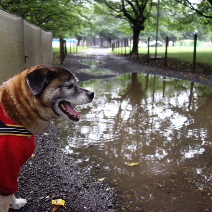 C4476fe0 798f 4deb b223 26ce7b959003 1563151155317