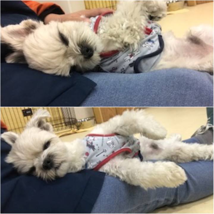 C44794c6 093b 4b01 ac4c 03b7b13bdd16 1513250338170