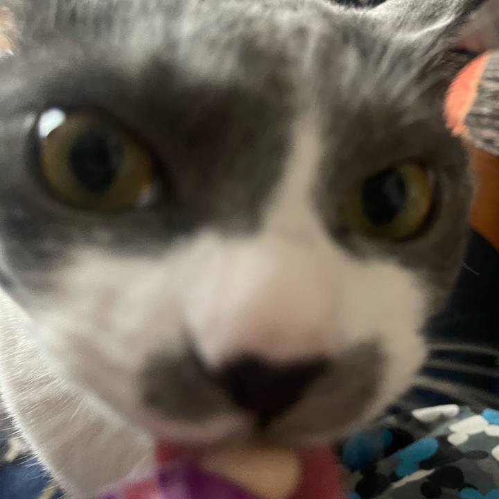 C4479ddf 5c92 447b 8a0d 2534292e940e 1686033684129