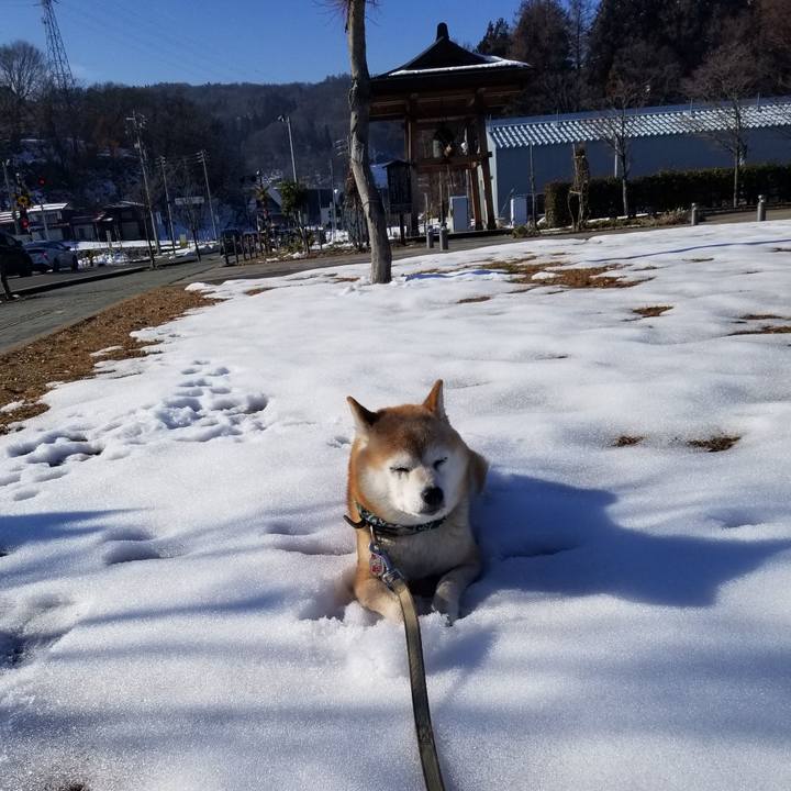 C447b92a a0ea 48d4 bbea 538c55617de7 1703910102145