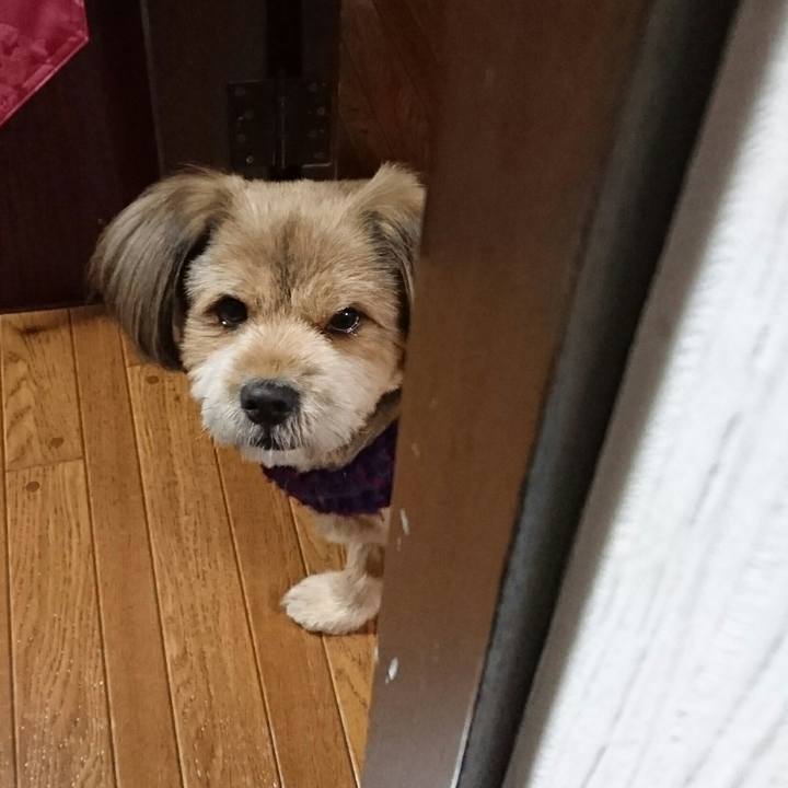 C447bb5a e42c 4101 bc98 34fe3b78e461 1541498812795