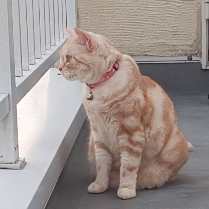 C447c8da bc7f 4aa6 ab1f 54b93d3804a4 1538556475765