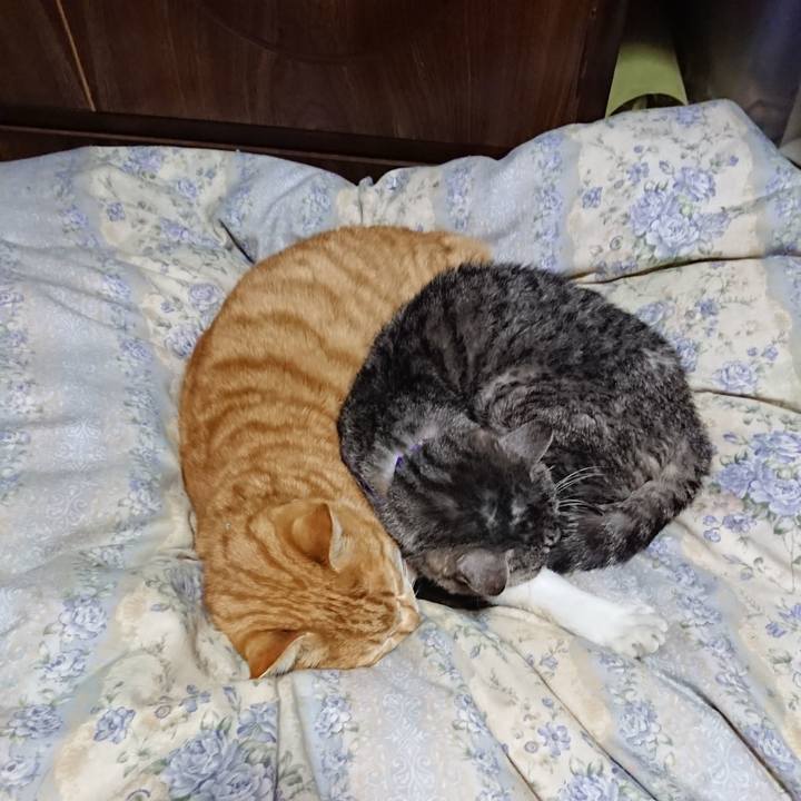 C447f1bd 2a75 4e20 a3fd 6ff4ce5ece59 1580038495516