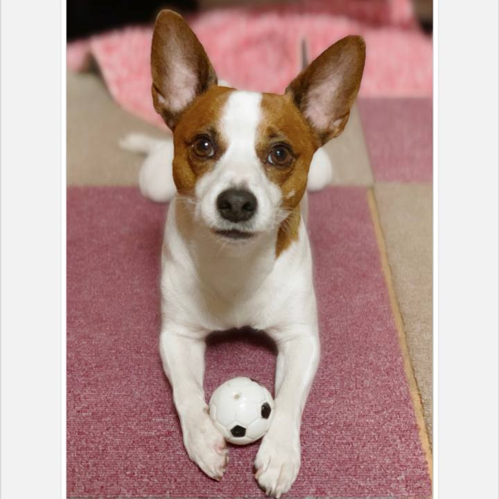 C4480691 9b7c 4d88 91e9 8ec0dc1e3a1c 1538748050284