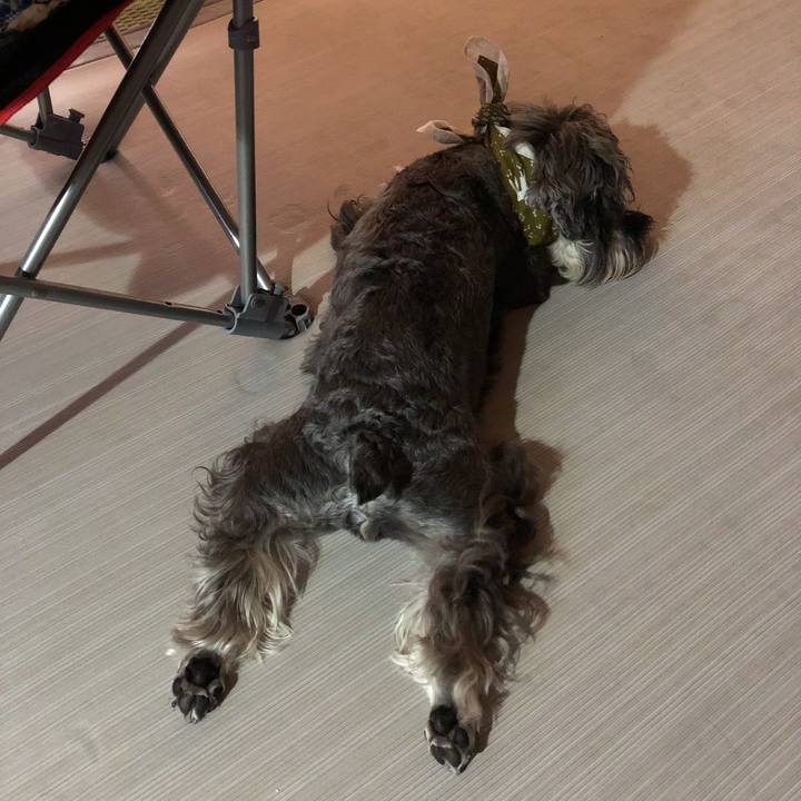 C4480823 4176 4799 8a91 547c5f0b0351 1565481820806