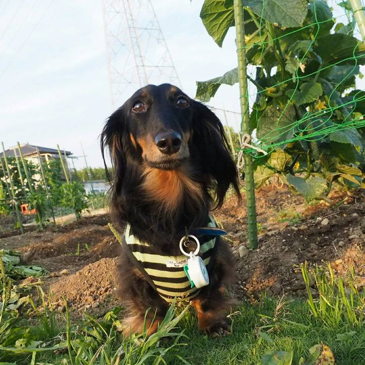 C4488b6c 681a 412a 8bd9 d4596d742fbe 1528156813419