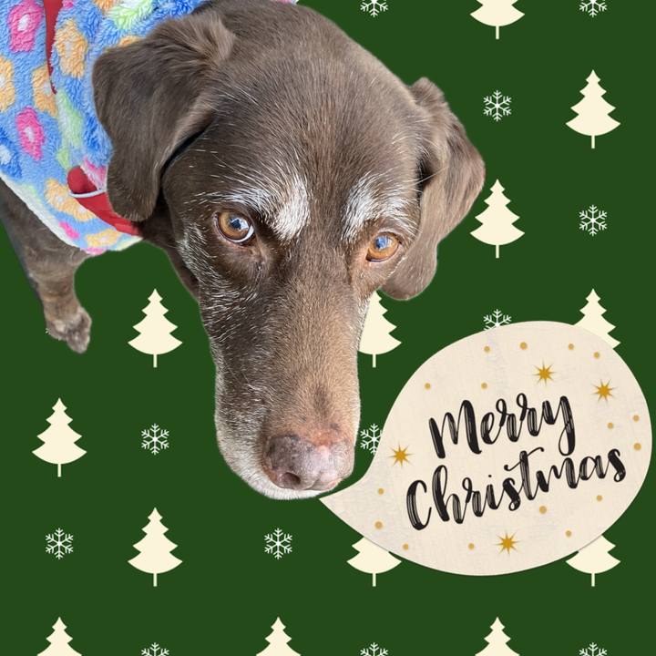 C4489e34 80b8 439c a490 e28f57e19823 1766551769010